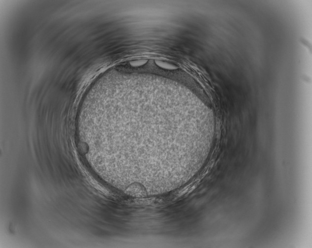 X0000096690049200803041309