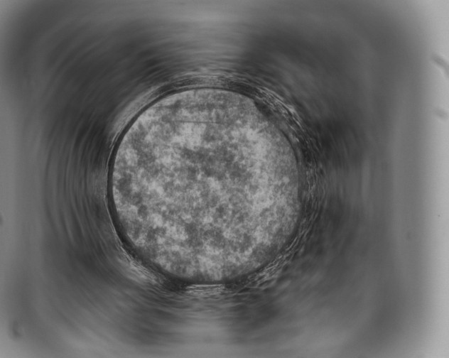 X0000096690051200803041309