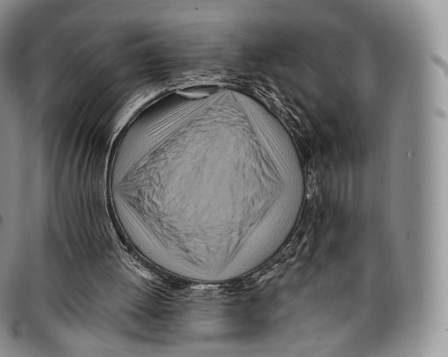 X0000096690052200803041309