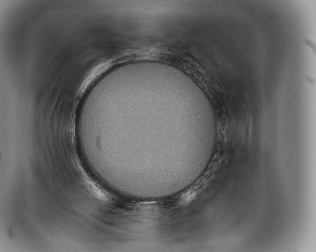 X0000096690054200803041309