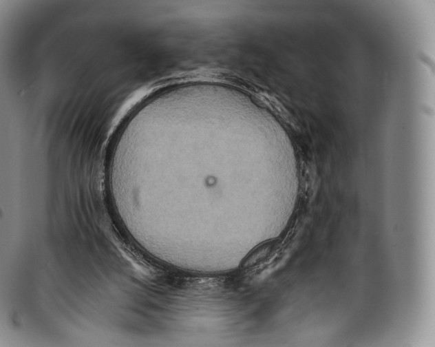 X0000096690056200803041309