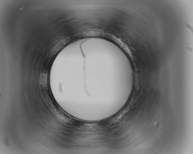 X0000096690057200803041309