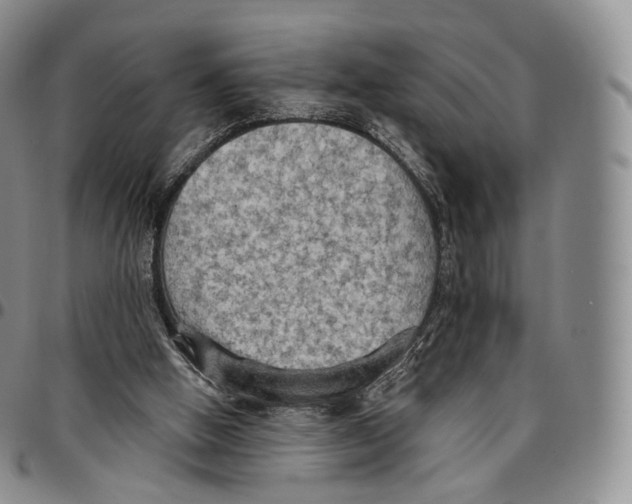 X0000096690058200803041309