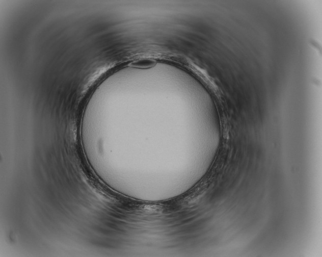 X0000096690060200803041309