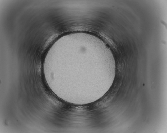 X0000096690064200803041309