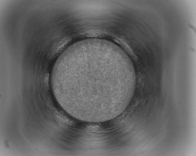 X0000096690066200803041309