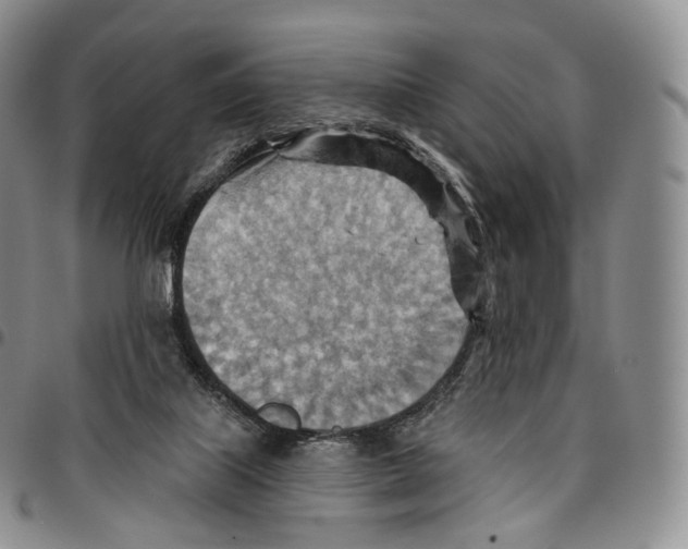 X0000096690067200803041309