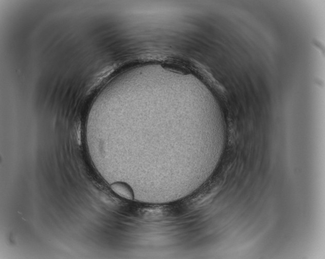 X0000096690068200803041309