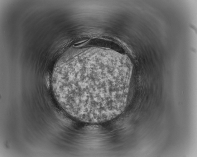 X0000096690069200803041309