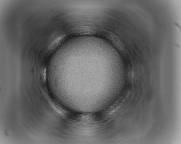 X0000096690070200803041309