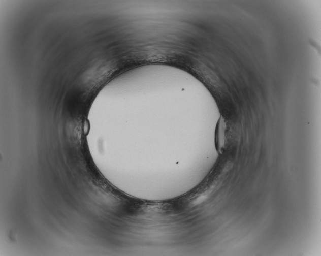 X0000096690072200803041309