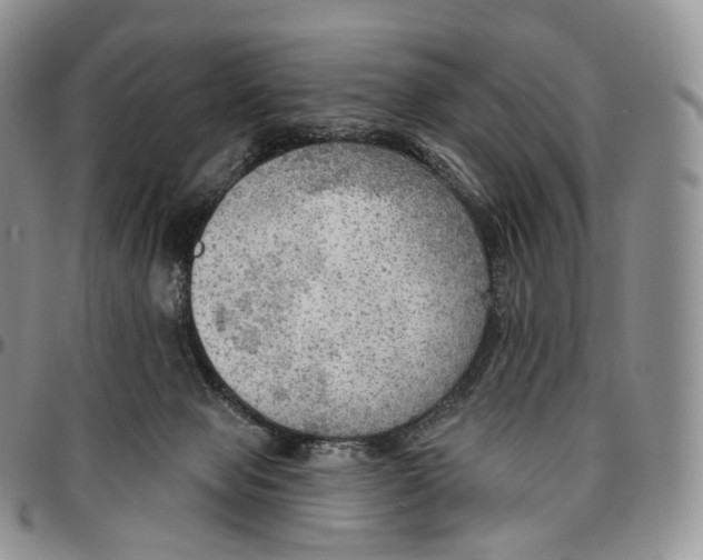 X0000096690077200803041309