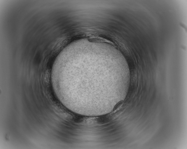 X0000096690078200803041309