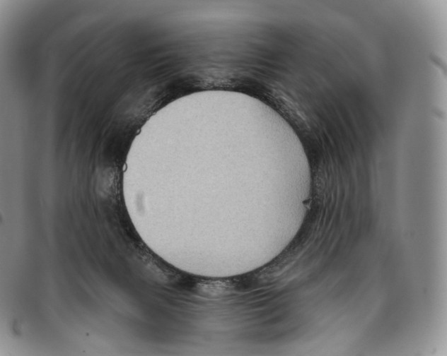 X0000096690079200803041309