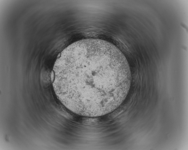 X0000096690081200803041309