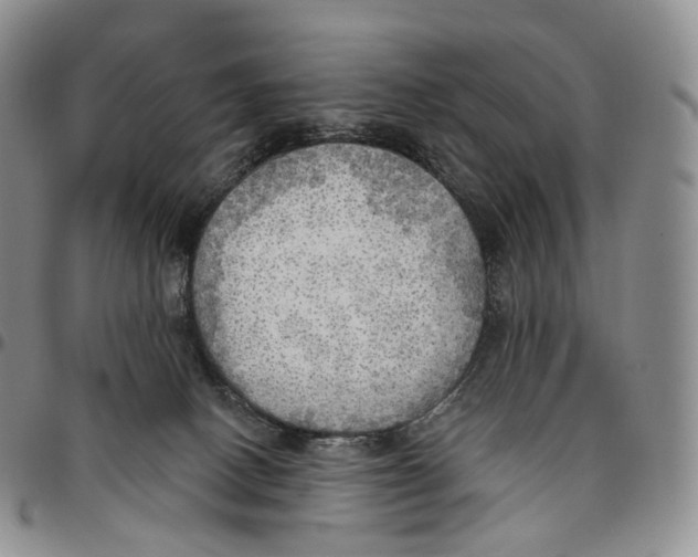 X0000096690082200803041309