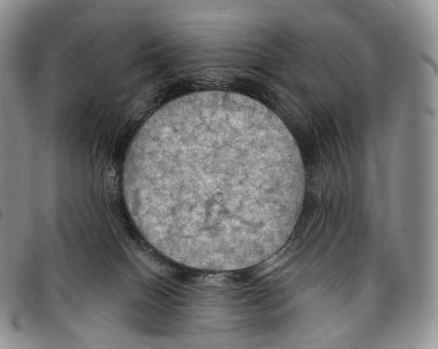 X0000096690086200803041309