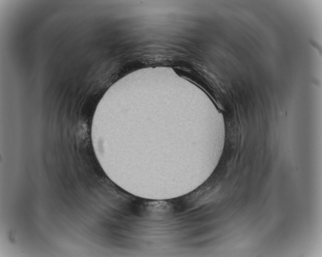 X0000096690087200803041309