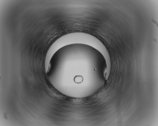 X0000096690088200803041309