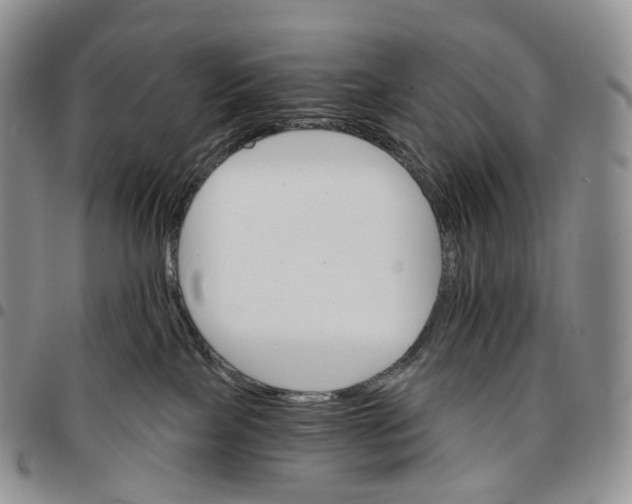 X0000096690089200803041309