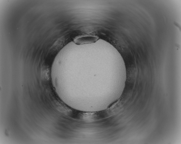 X0000096690090200803041309