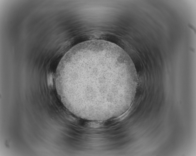 X0000096690094200803041310