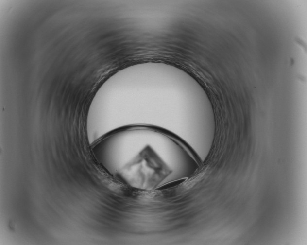 X0000096690096200803041310