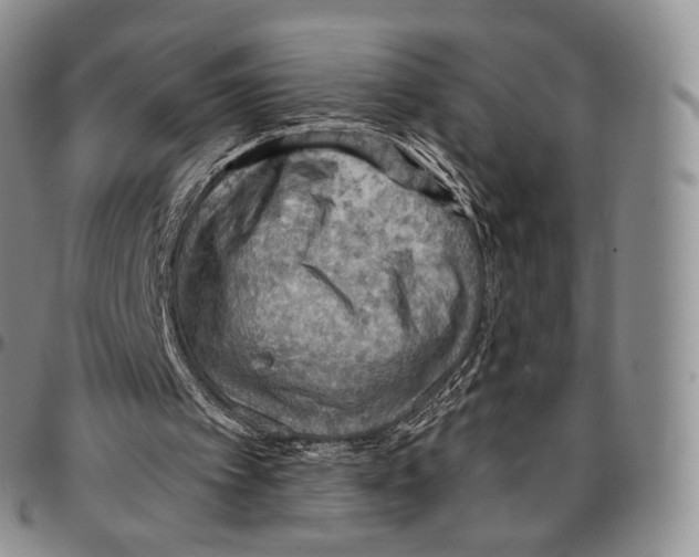 X0000096690097200803041309