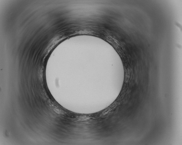 X0000096690098200803041309