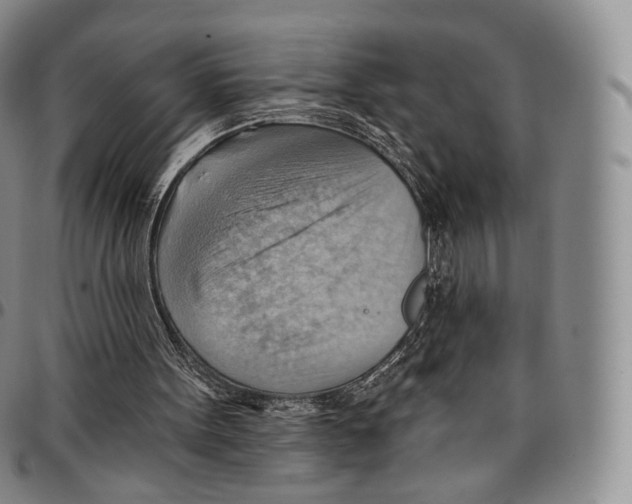 X0000096690099200803041309