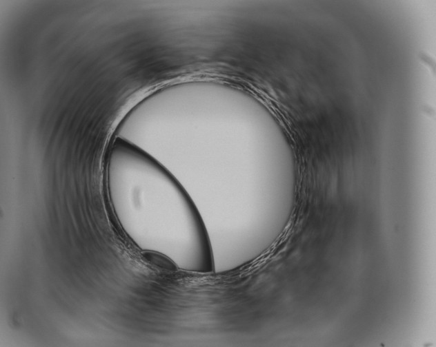 X0000096690100200803041309