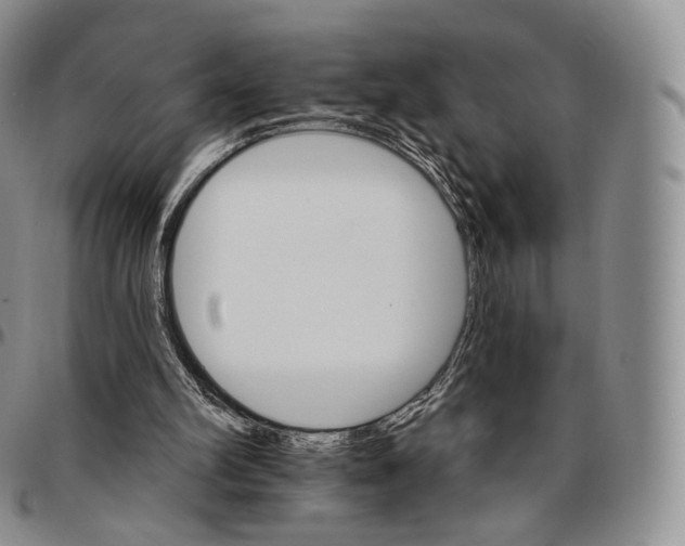 X0000096690102200803041309