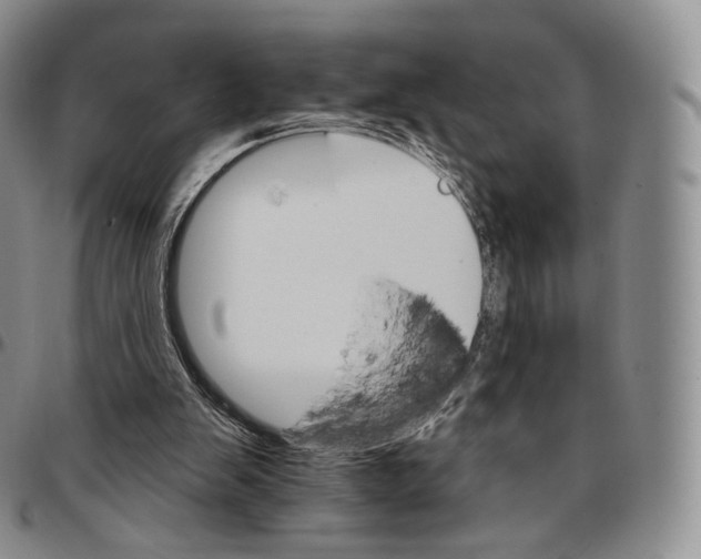 X0000096690103200803041309