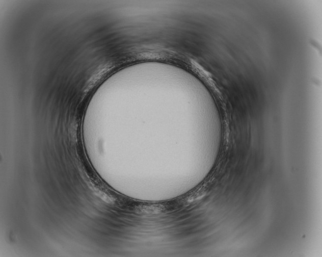 X0000096690106200803041309