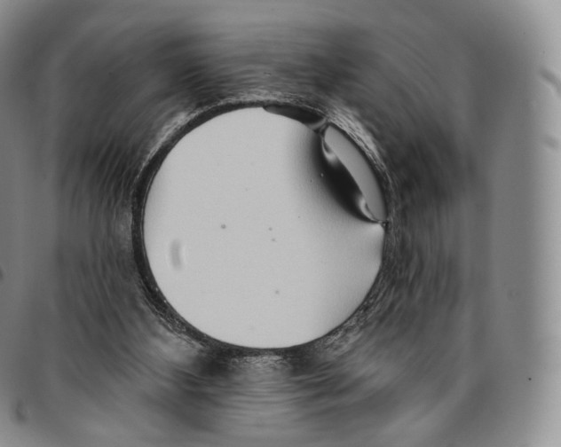 X0000096690108200803041309