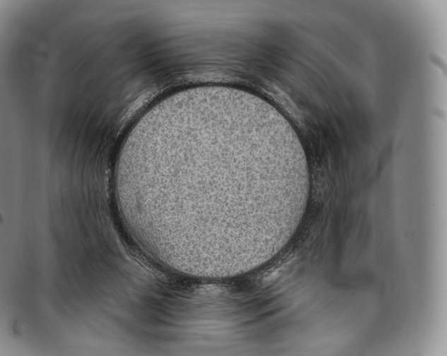 X0000096690111200803041309