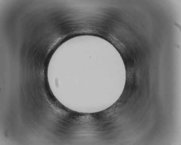 X0000096690112200803041309