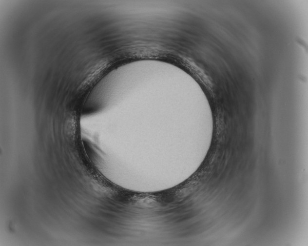 X0000096690113200803041309