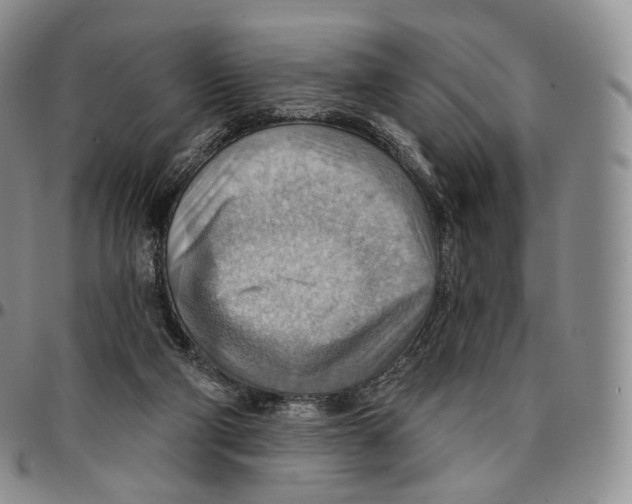 X0000096690114200803041309