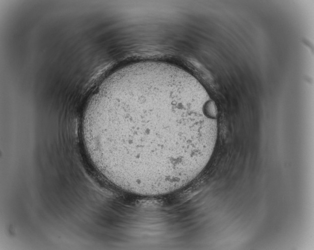 X0000096690115200803041309