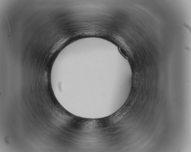 X0000096690116200803041309