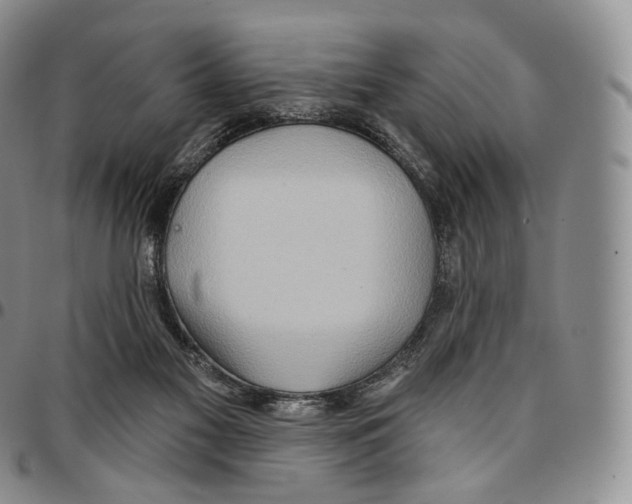 X0000096690117200803041309