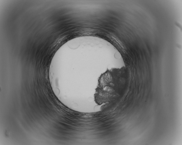 X0000096690119200803041309