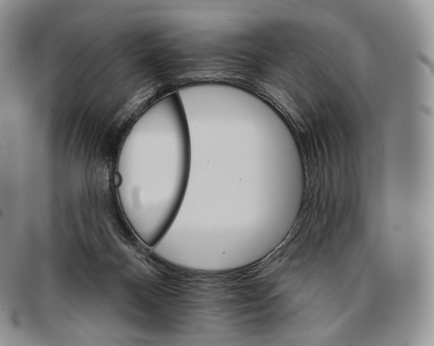 X0000096690120200803041309