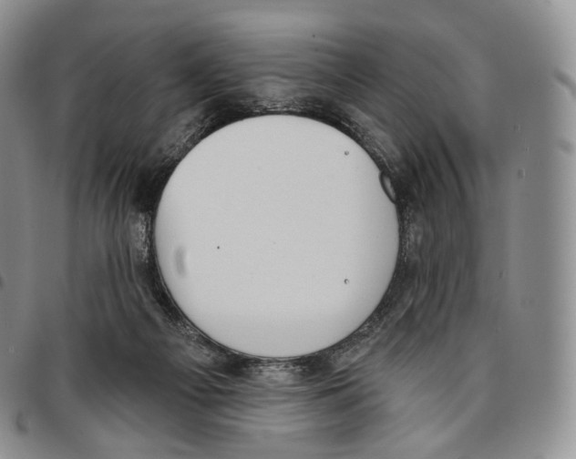 X0000096690121200803041309