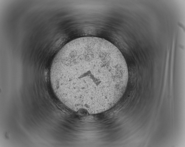 X0000096690123200803041308