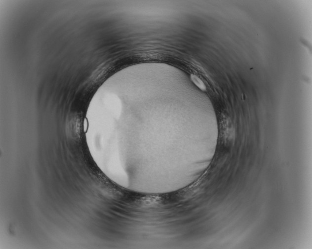 X0000096690124200803041308