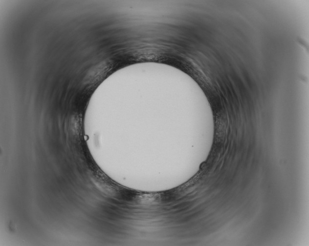 X0000096690126200803041308