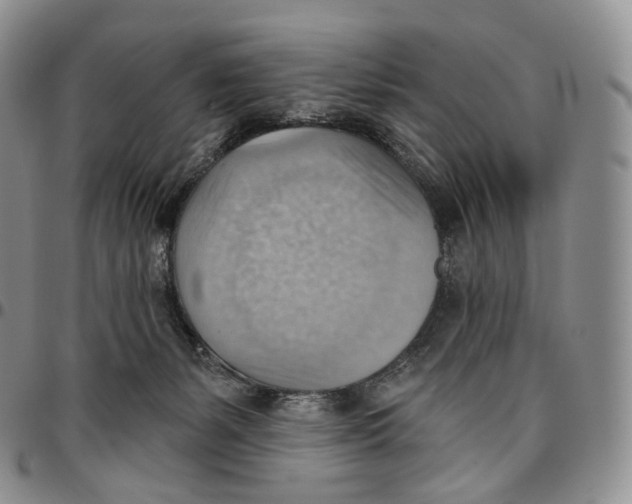 X0000096690127200803041308