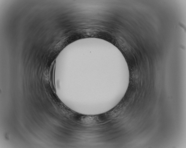 X0000096690129200803041308